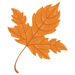 Maple Flower Vector Illustration for Design