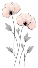 Delicate Floral Arrangement of Light Pink Poppies with Gray Leaves on White