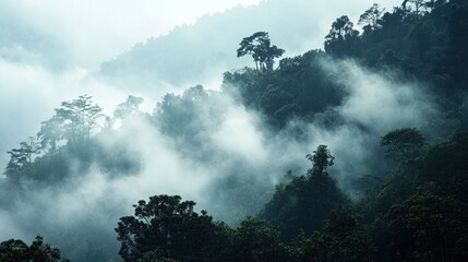 Fototapeta premium Misty Mountain Majesty: A Serene Landscape
