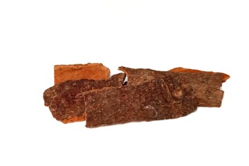 cinnamon bark isolated white background