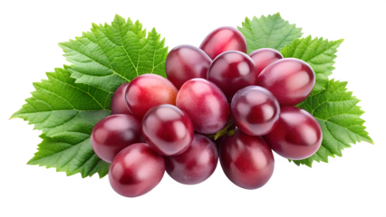 tow red grape on isolated on transparent background png