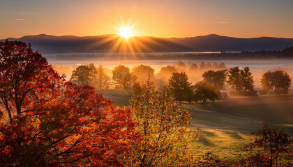 Fototapeta premium dawn with fall foliage