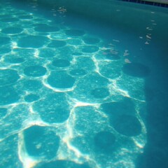 Fototapeta premium Footprints and plant life on the pool's surface create a unique visual contrast , footprints, landscape