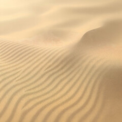 Fototapeta premium Desert landscape with gentle sand dunes and soft sunlight illuminating the sandy surface in warm tones