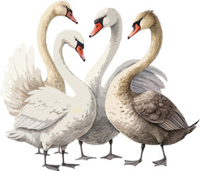 Four Swans Valentine's Day