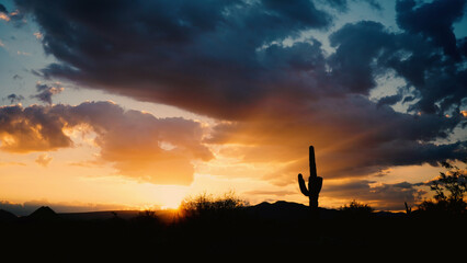 Saguaro Cactus Silhouette with Brilliant Sun Rays at Dawn