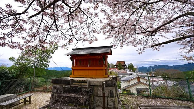 Small buddhist shrine and Cherry blossoms and Kinpusenji temple's Zao-do Hall seen from Mount Idaten