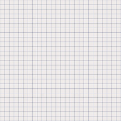Clean simple graph paper, checked paper, gridded paper background. Vector. Notebook, sheet paper, seamless, page, cloth, chart, school book, paper. graphic, design background. 
