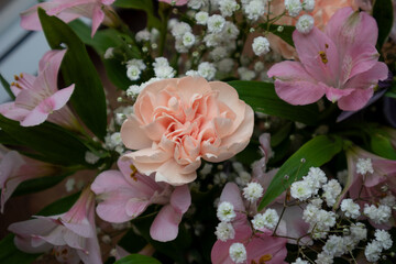 Pastel Bouquet of Carnations, Alstroemeria & Gypsophila – Soft & Romantic Floral Display