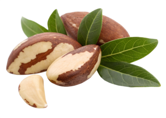 brazil nuts with leaves isolated on transparent background png