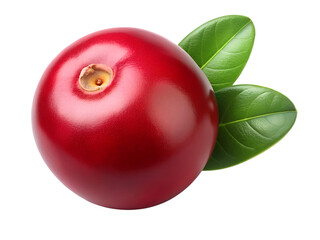 one red cranberrie on isolated on transparent background png