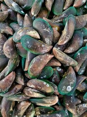 The fresh fish on the market