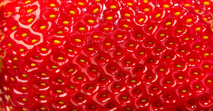 Strawberry texture as background, macro shot. Strawberry skin with seeds, macro shot 