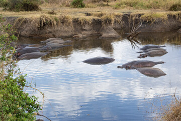 view of the Serengeti National Park