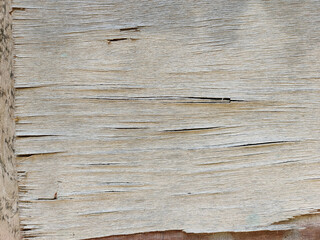Old wood grain texture background