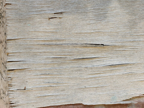 Old wood grain texture background