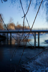 Fototapeta premium Branches close up winter landscape and bridge in the background