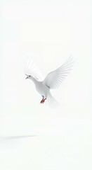 Fototapeta premium White Dove in Flight