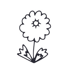 Hand drawn black and white outlined doodle daisy flower. Simple monochrome floral sketch. Abstract botanical element.