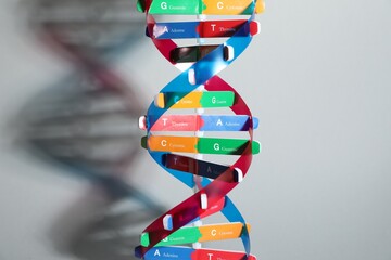 DNA structure model on light grey background