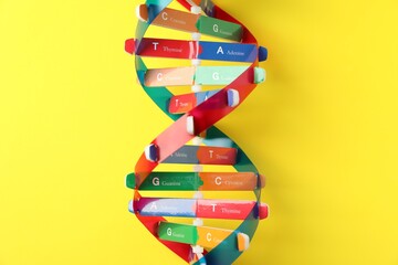 DNA structure model on yellow background, top view