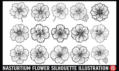 Nasturtium Flower Silhouette, Elegant hand-drawn floral illustration, high-quality vector artwork on a white background, ideal for prints, branding, and creative designs.
