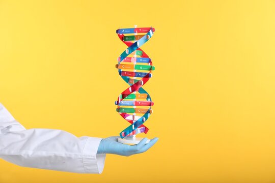 Scientist holding DNA structure model on yellow background, closeup - Powered by Adobe