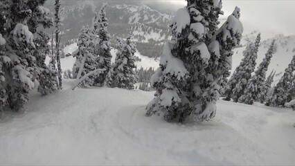 Serene Winter Snapshot: Snow-covered Forest Landscape With Majestic Snowy Trees