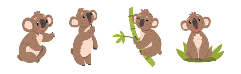 Funny Koala Animal with Cute Snout Vector Set