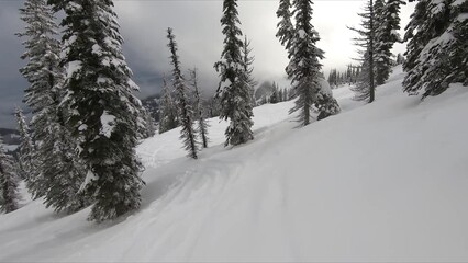 Majestic View Of Snow-covered Mountain Landscape With Dense Tree Cover And Overcast Clouds