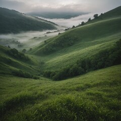 Fototapeta premium A foggy morning in a green-covered hillside.