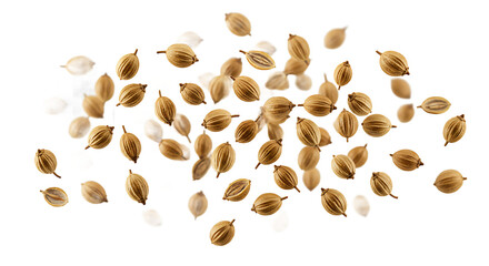4K Top View Natural Light Suspended Coriander Seeds, Golden Amber, High Angle