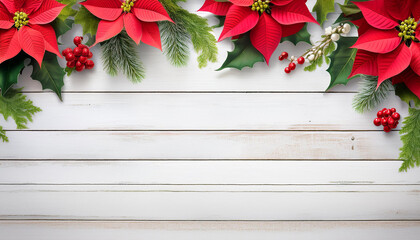 poinsettia flower background border with holly mistletoe and wintry weather flowers on rustic white wooden heritage with reproduction area traditional thanksgiving or christmas subject matter