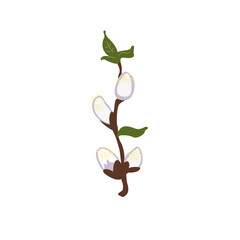 Willow branch with cats isolated on a white background, vector clipart