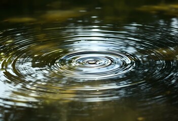 Concentric Circles of Tranquility: A Still Pond's Ripple Effect