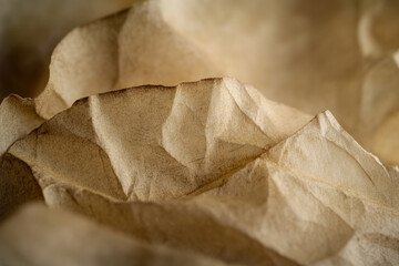 Macro shot of aged parchment texture, warm yellowed tones with faded creases and delicate fibers.