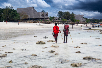 View of the beach of Zanzibar island
