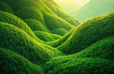 Earth Day. Geometric shapes representing ecosystems with smooth transitions from green to brown create a sense of harmony.