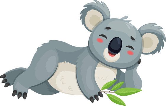 Cartoon funny koala bear character lying down with a cute happy expression, holding a eucalyptus branch. Isolated vector adorable and charming koala animal, playful and relaxed wildlife personage