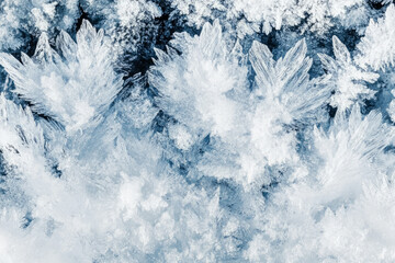 Fototapeta premium Macro shot of snow-covered surface, fluffy, untouched with a glistening frost layer.