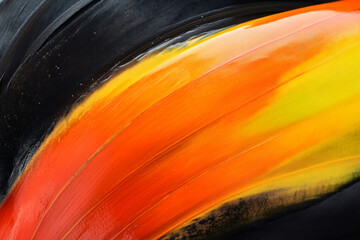 Macro shot of toucan beak texture, smooth, glossy, and colorful with vivid orange, yellow, and black gradients.