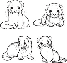 Cute Ferret Illustrations - Black and White Line Art
