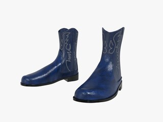 Cowgirl Boots isolated on white .various colours