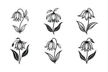 Fototapeta premium Crown Imperial (Fritillaria imperialis) line art vector illustration