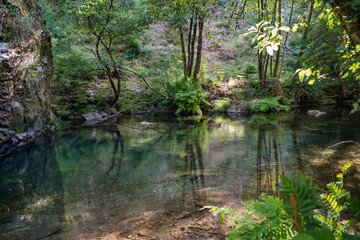 Alge stream on the Fragas de São Simão trail with clear water and reflection of the vegetation and blurred leaves, PORTUGAL