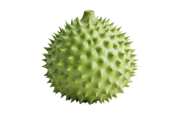 Durian fruit with spikes located in bright light