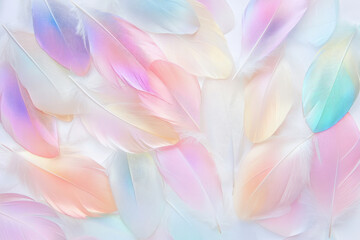 Obraz premium Textured hummingbird feathers, iridescent and soft, with delicate hues reflecting light, perfect for a whimsical and vibrant design.