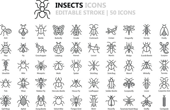 Insect Icon Set: 50 Detailed Outline Vector Icons in Black (EPS Included)
