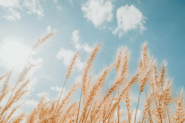Fototapeta premium Textured sunlit wheat field with golden grain patterns swaying in the breeze, capturing the warmth of late summer.