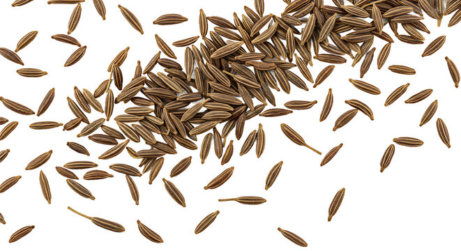 Brown cumin & caraway seeds, natural spice.  Food. Organic.